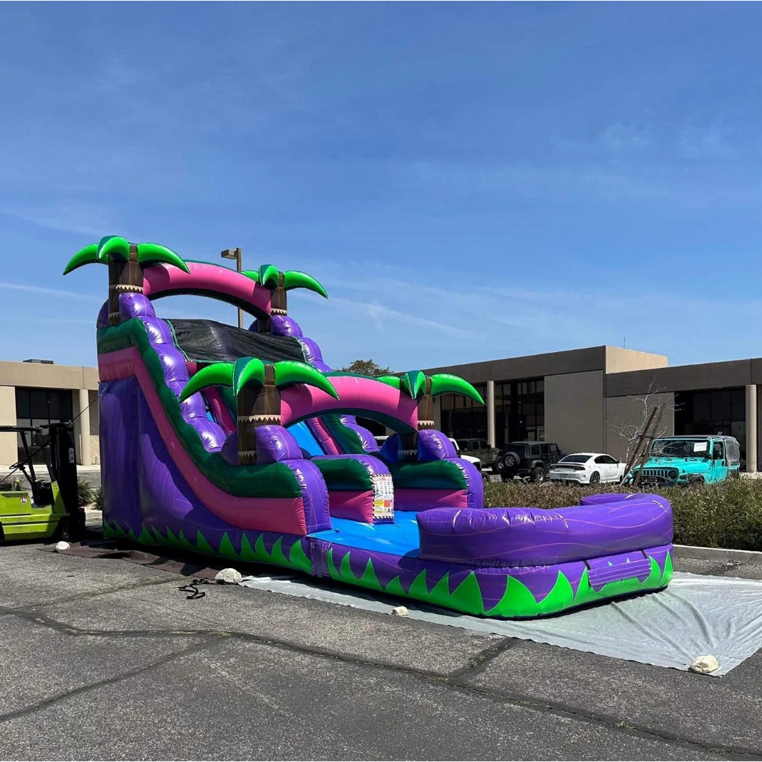 Inflatable Water Slide Coconut Tree Seaside, Giant Inflatable Water Slide
