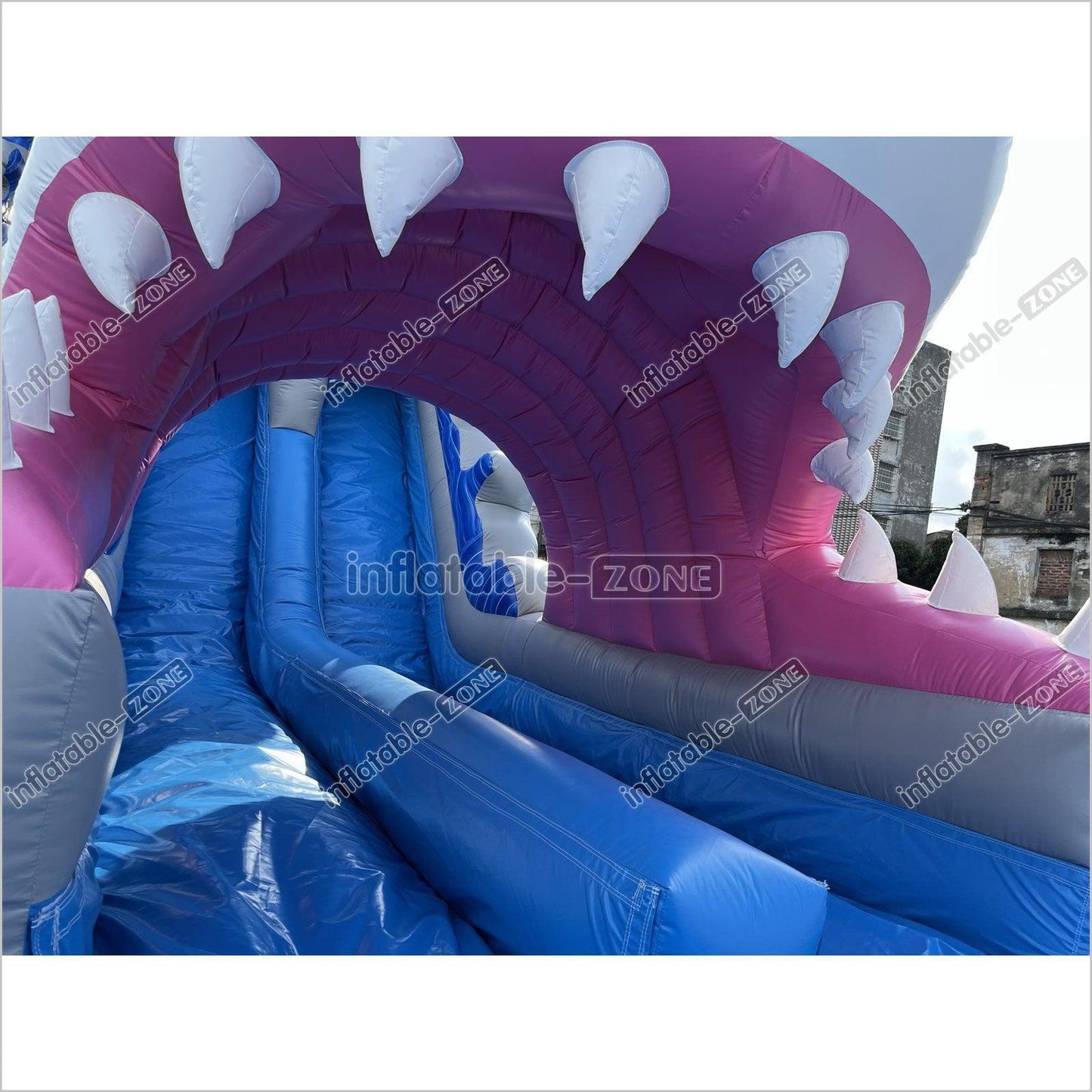 Inflatable Shark Water Slide Shark Blow Up Water Slide Shark Bounce House Water Slide - Inflatable-Zone