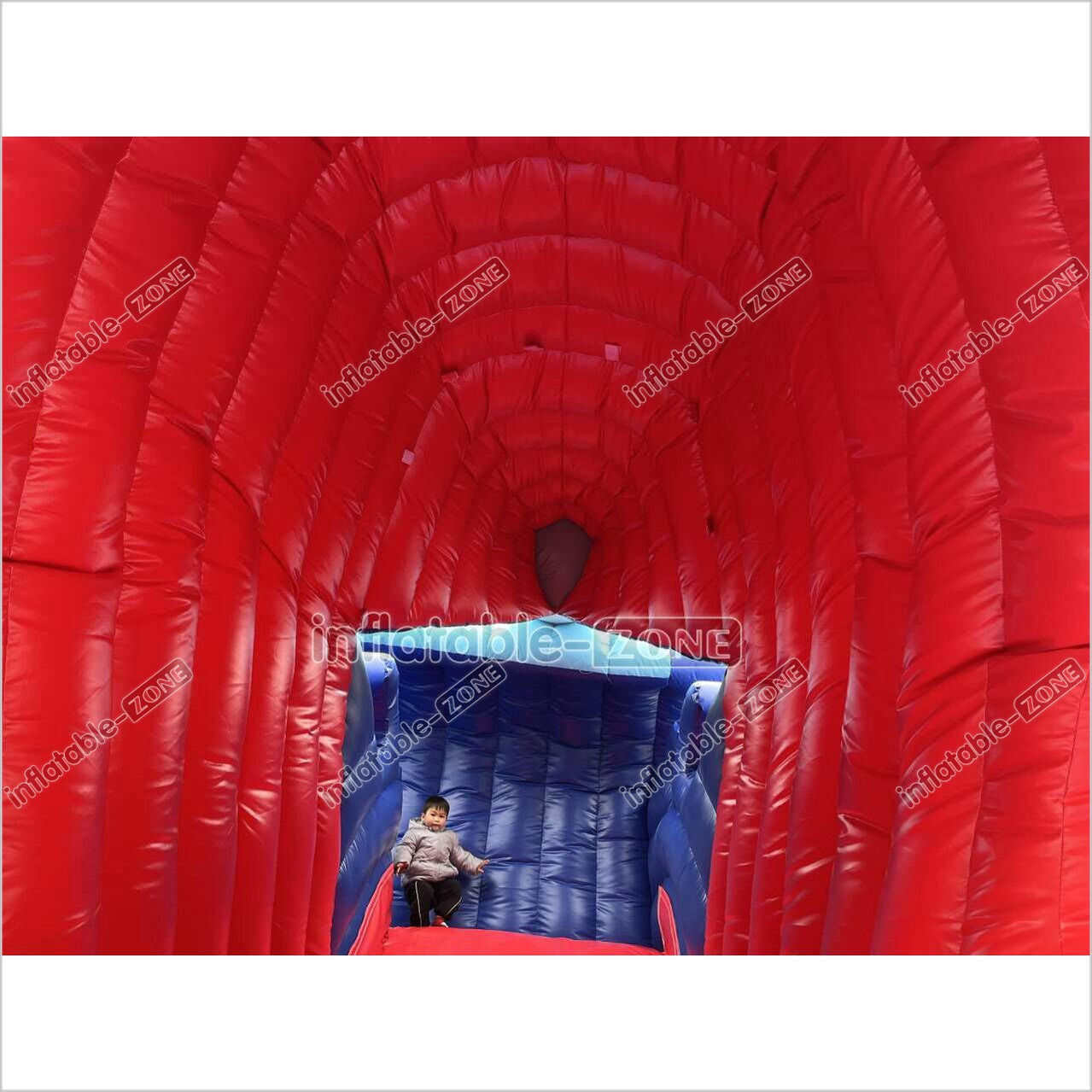 Blow Up Shark Water Slide Commercial Giant Inflatable Waterslide With Pool For Playground - Inflatable-Zone