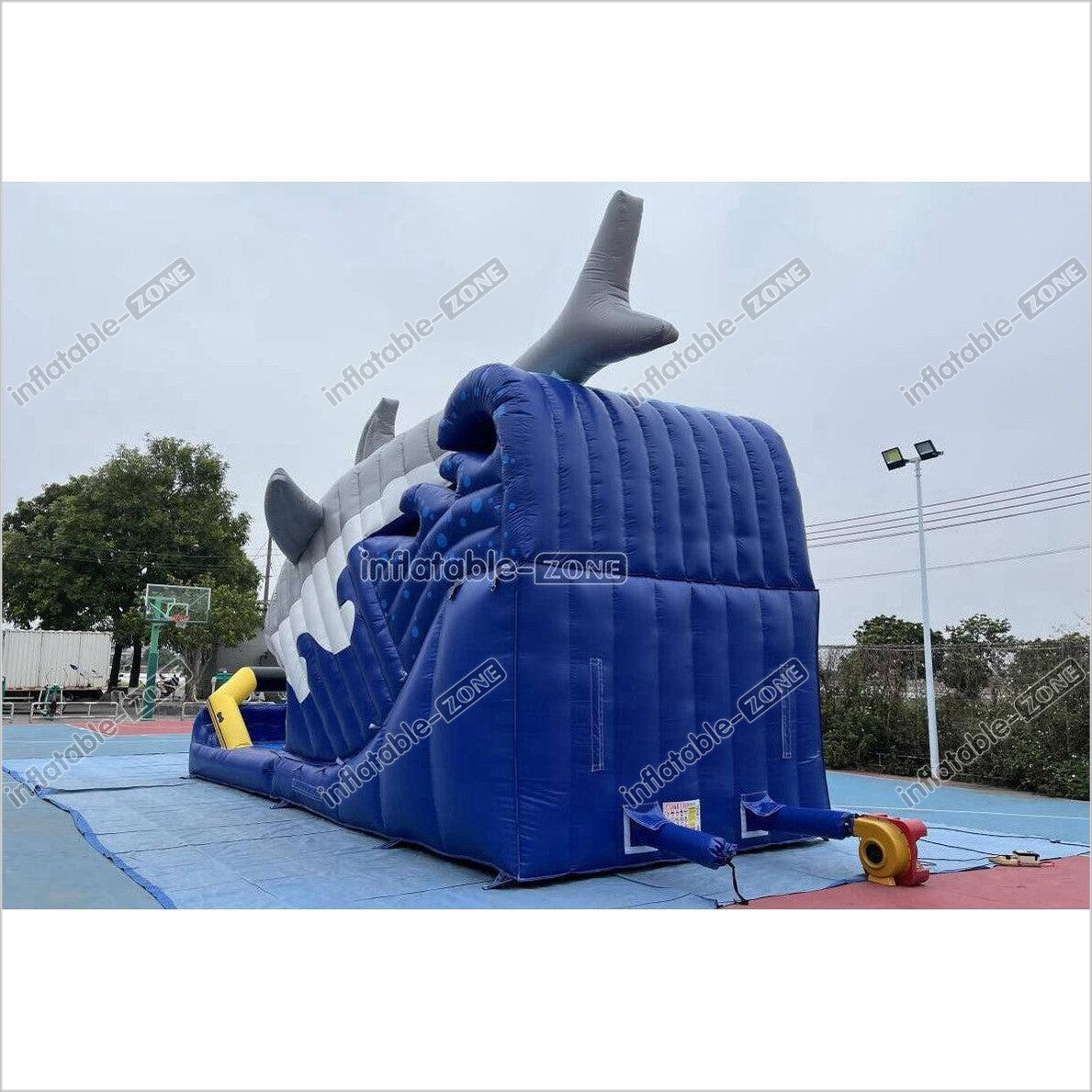 Blow Up Shark Water Slide Commercial Giant Inflatable Waterslide With Pool For Playground - Inflatable-Zone